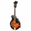 mandolína model F