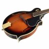 mandolína model F polomasiv 2