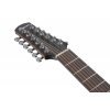 Ibanez kytara 12 strunná elektroakustická AAD1012E OPN 6