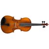 strunal schoenbach viola 3 90 (5)