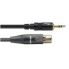 kabel mini XLR samice/mini jack 3.5 stereo