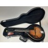 kufr na mandolínu model A i F (3)