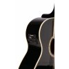 12 strunna kytara elektroakusticka Ashton SL29 12CEQ BK main1