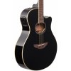 APX600 elektro akustická kytara černá a