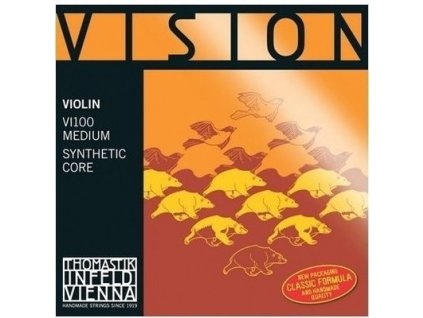 Vision VI100