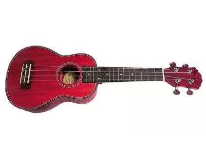 fz 06c rd hudebninyandante