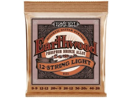 ErnieBall2153 hudebninyandante