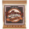 ErnieBall2144 hudebninyandante