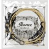 Ibanez IACS12C 12-strunná sada na akustickou kytaru