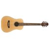210270 Akusticka kytara Ashton MINI20 NTM main