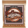 ErnieBall2153 hudebninyandante