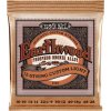 ErnieBall2152 hudebninyandante