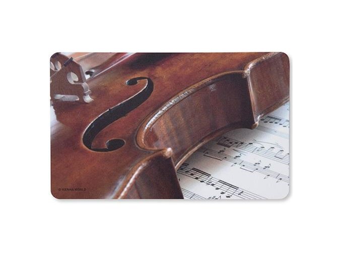 10245 krajeci prkenko housle 2