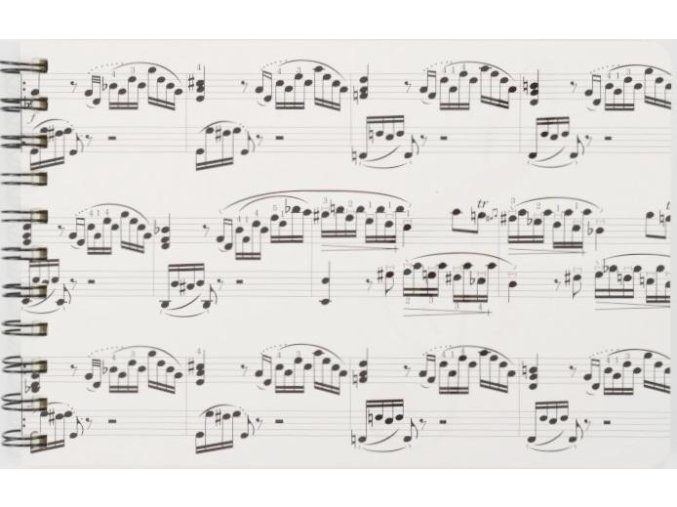10440 zapisnik partitura s krouzkovou vazbou 2