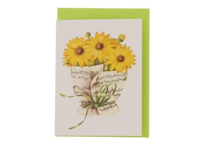 11085 hudebni pranicko slunecnice