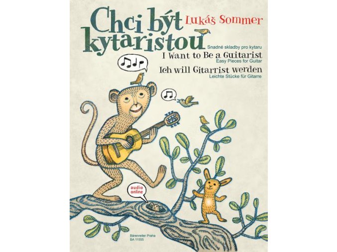 4191 lukas sommer chci byt kytaristou