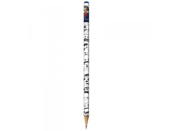 6603 tuzka beethoven portret