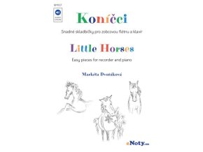 10698 marketa dvorakova konici pro zobcovou fletnu