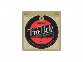 15517 d addario ej45c