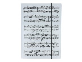 6510 desky partitura bile