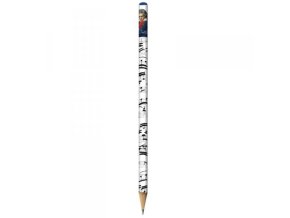 6603 tuzka beethoven portret
