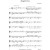 10677 2 boogie for four boogie pro 4 pricne fletny