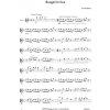 10677 3 boogie for four boogie pro 4 pricne fletny