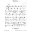 1068 1 w gillock capriccietto