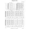 10692 2 boogie for four boogie pro 4 saxofony