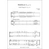 10716 2 malickosti pro 2 pricne fletny