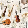 11067 ubrousky music instruments