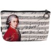 11079 kosmeticka tasticka mozart