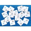 12108 domino noty c1 c2