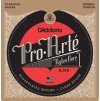2019 d addario ej45