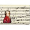 3375 uterka na bryle mozart