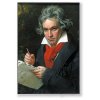 Magnetka Beethoven - portrét