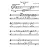 3618 2 milan dlouhy capricci piccoli