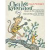 4191 lukas sommer chci byt kytaristou