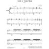 4866 1 lubos fiser sny a valciky
