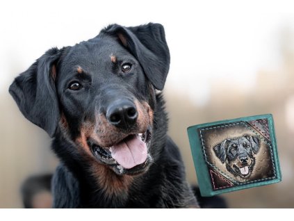 76f5ebba 34b0 4ae9 bc0e b3ec3c360048