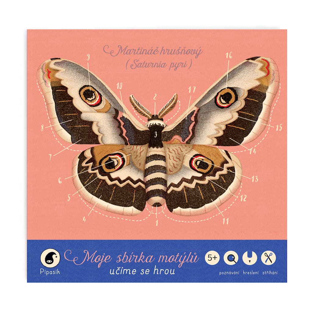Moje sbírka motýlů - Jitka Musilová
