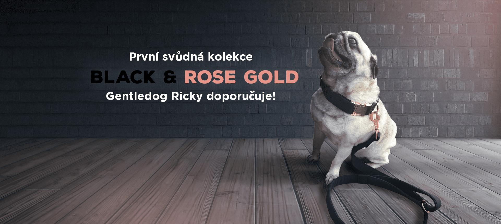 Hugo Store Black and Rose