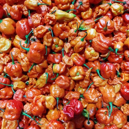 c9bafc6b 137d 4462 91a1 b1a9050041bb