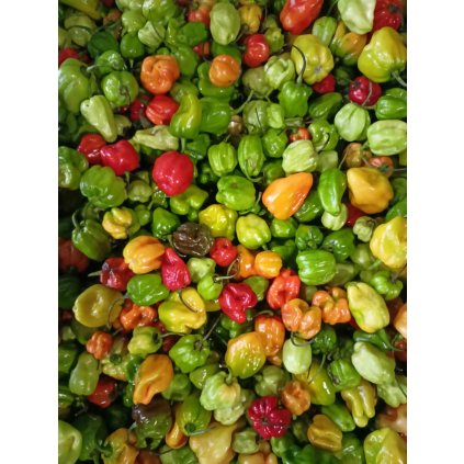 mix chilli paprik
