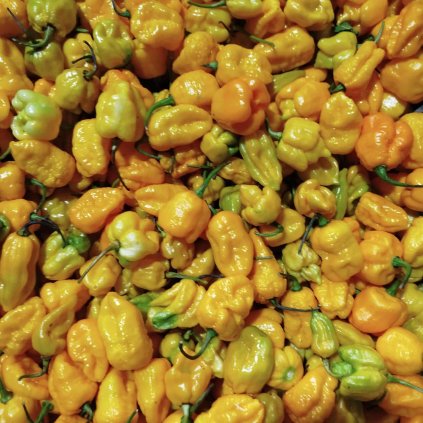 5c22d891 0eb1 40f6 ac57 b4662515754a