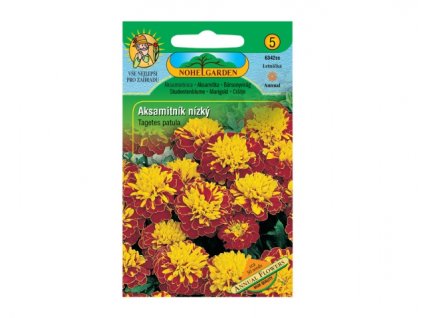 149535 aksamitnik rozkladity plnokvety hnedo zluty