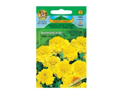 149565 aksamitnik rozkladity plnokvety zluty