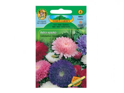 149655 astra cinska vysoka princess smes