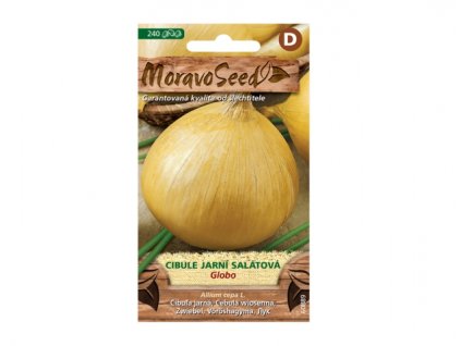 149991 cibule jarni globo salatova 60889