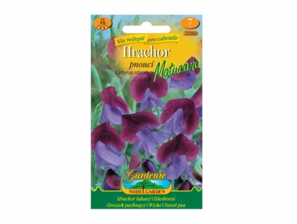 151854 hrachor vonny pnouci mutacana fialovo modry
